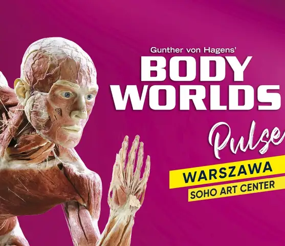 Body Worlds Pulse - wystawa